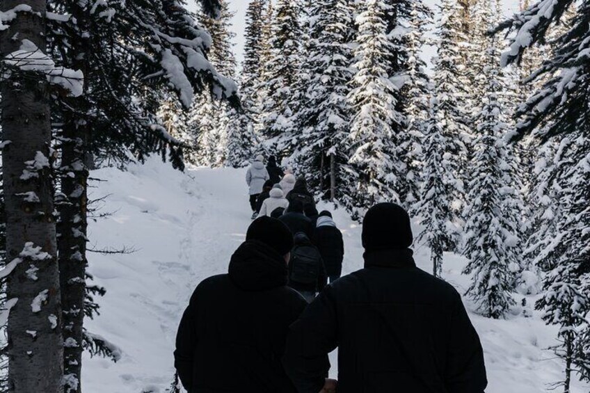 Banff Lakes and Canyon Adventure