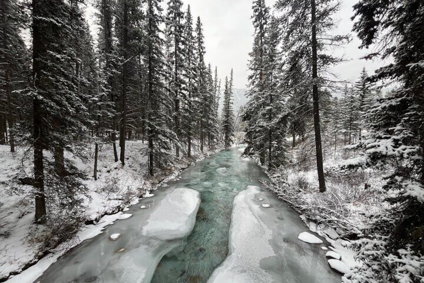 Johnston Canyon