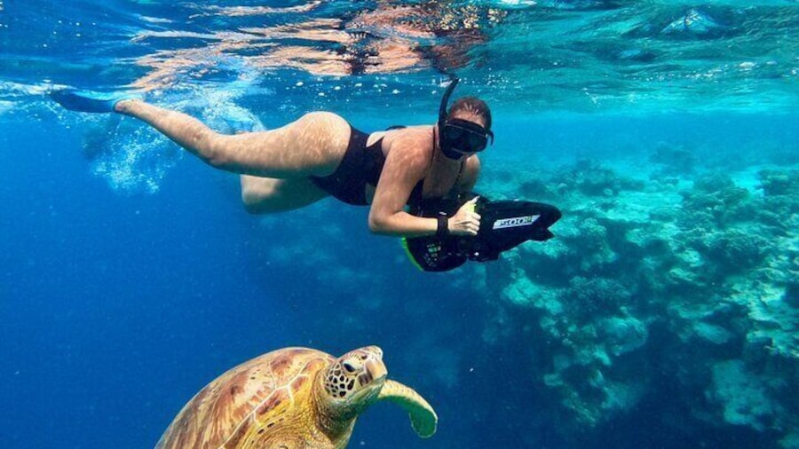 Eco Friendly Sea Scooter Turtle Tour in Rarotonga