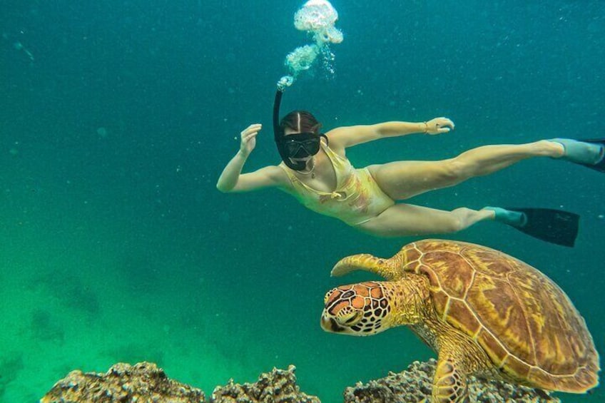 Eco Friendly Sea Scooter Turtle Tour in Rarotonga