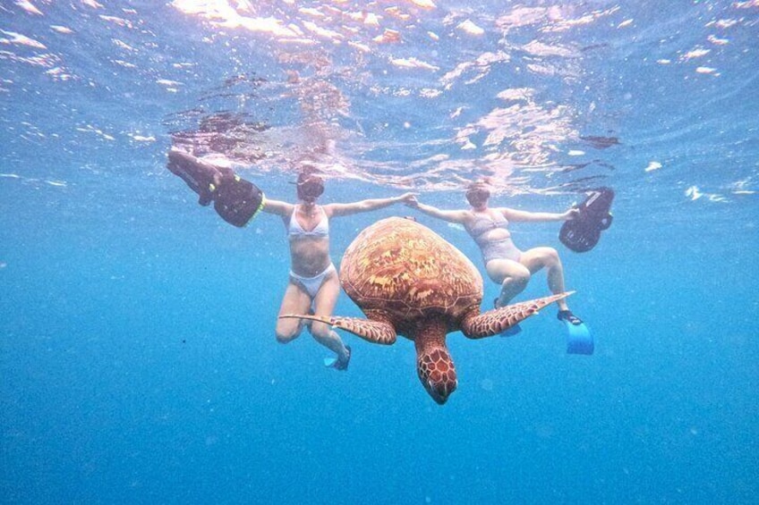 Eco Friendly Sea Scooter Turtle Tour in Rarotonga