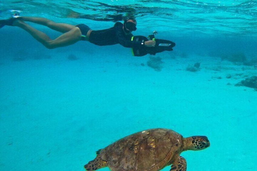 Eco Friendly Sea Scooter Turtle Tour in Rarotonga