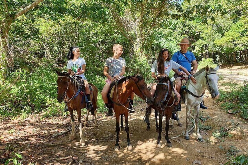 Half-day El Limon Waterfall and Cayo Levantado Tour with Lunch