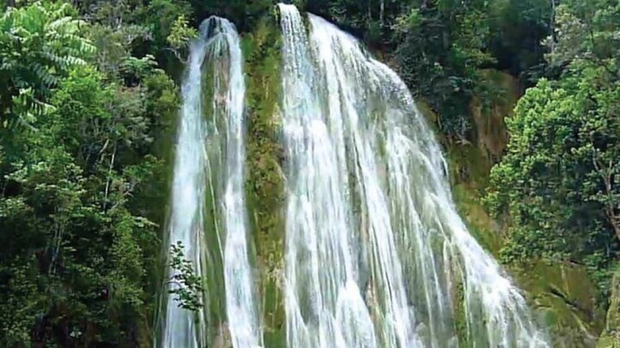 Half-day El Limon Waterfall and Cayo Levantado Tour with Lunch