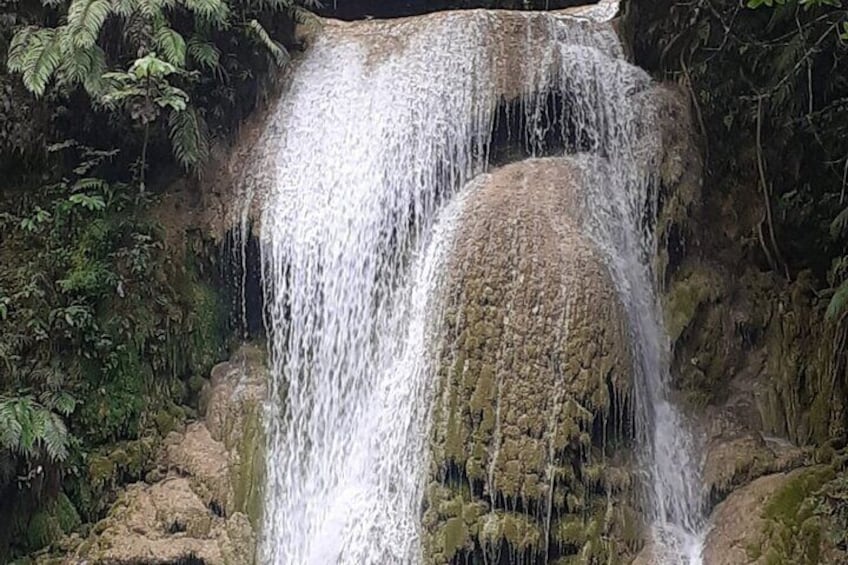 Half-day El Limon Waterfall and Cayo Levantado Tour with Lunch