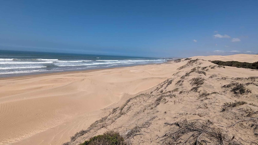 Picture 14 for Activity Essaouira: Full-day Dune Buggy Adventure