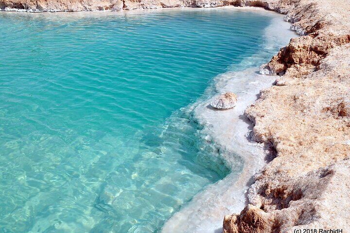 Private Salt Lake Cleopatra Spring and Sunset Desert Safari tour