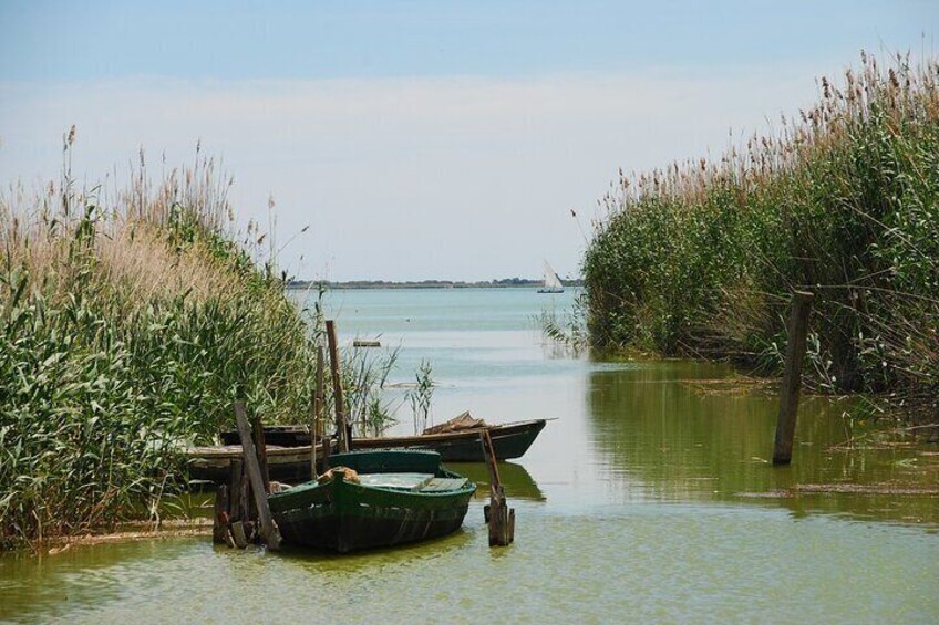 Valencia Boat Ride In The Albufera Paella Included