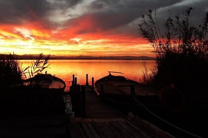 Valencia: Albufera Boat Ride and Paella Included