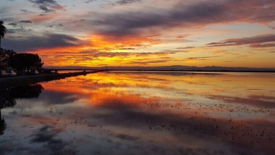 From Valencia: Albufera Boat Ride & Food