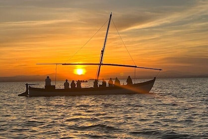 From Valencia: Albufera Boat Ride & Food (Paella) Included