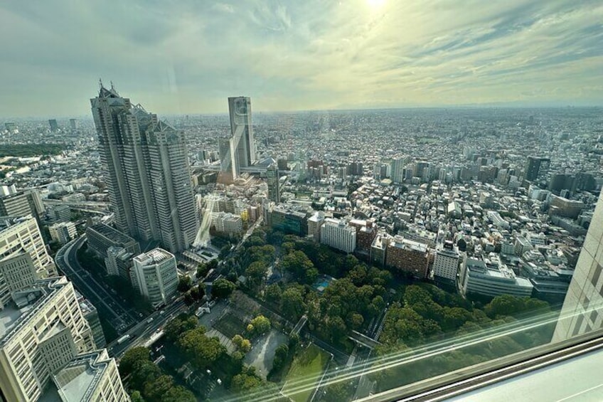 Take in an amazing view of Meiji Shrine, nestled within its tranquil forest, from the observation deck.