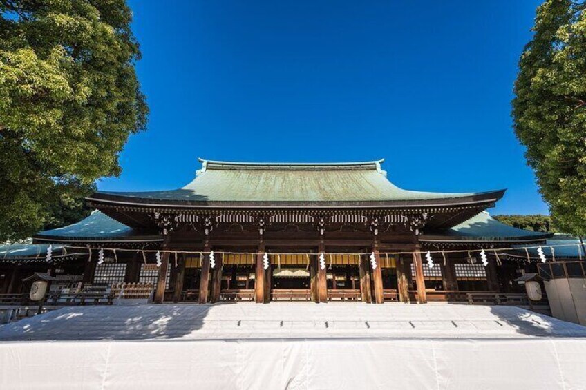 Tokyo: Shibuya Walking Tour with a Local Guide, Meiji Shrine