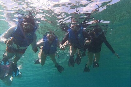 Coral Reef and Sea Turtle Snorkeling Experience