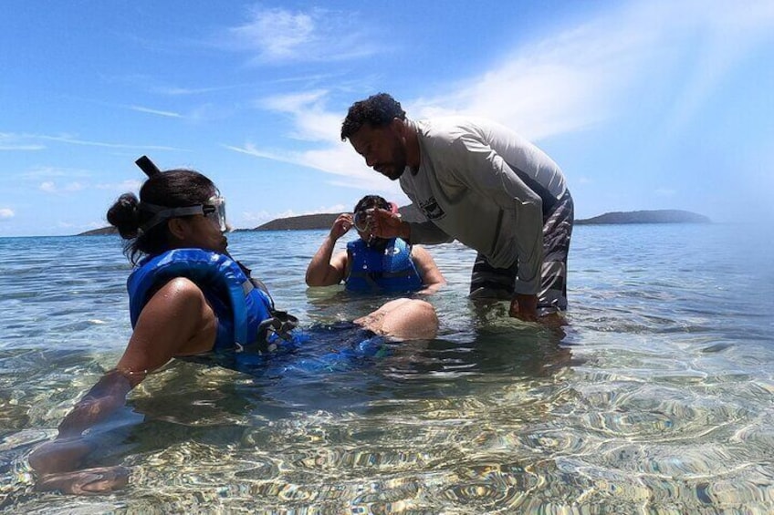 Coral Reef and Sea Turtle Snorkeling Experience