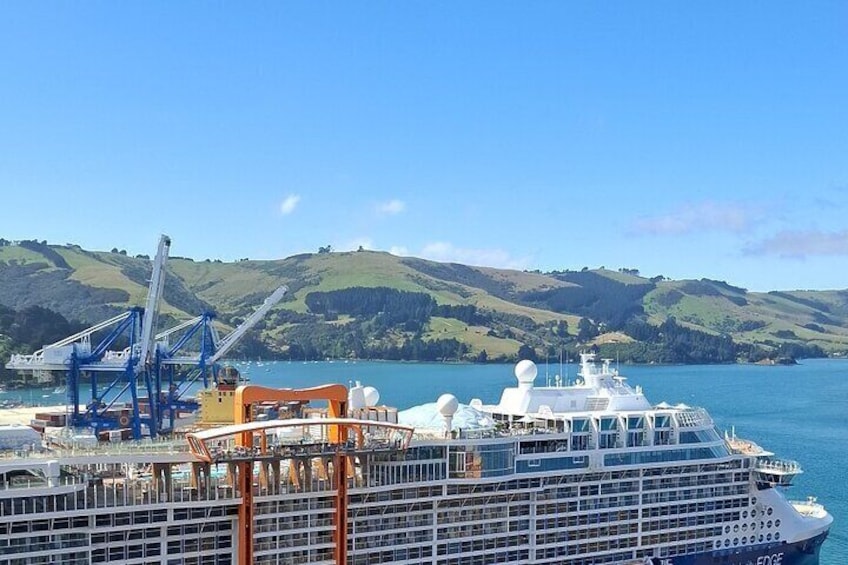 7 Hours Dunedin and Otago Peninsula Tours up to 10 people 