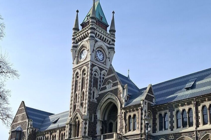 Experience Dunedin Private Tours 