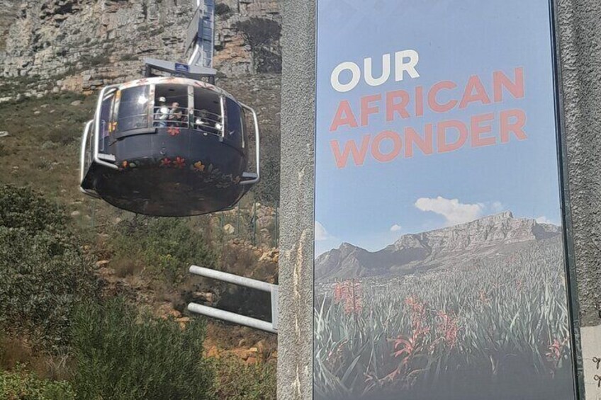 Table Mountain and Stellenbosch Wine Tasting Private Tour 