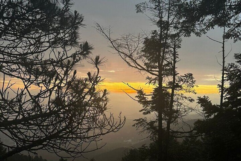 Discover the sunrise in the middle of nature.