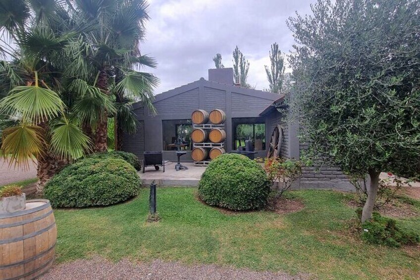 Taste Routes Wines and Oils of Mendoza 