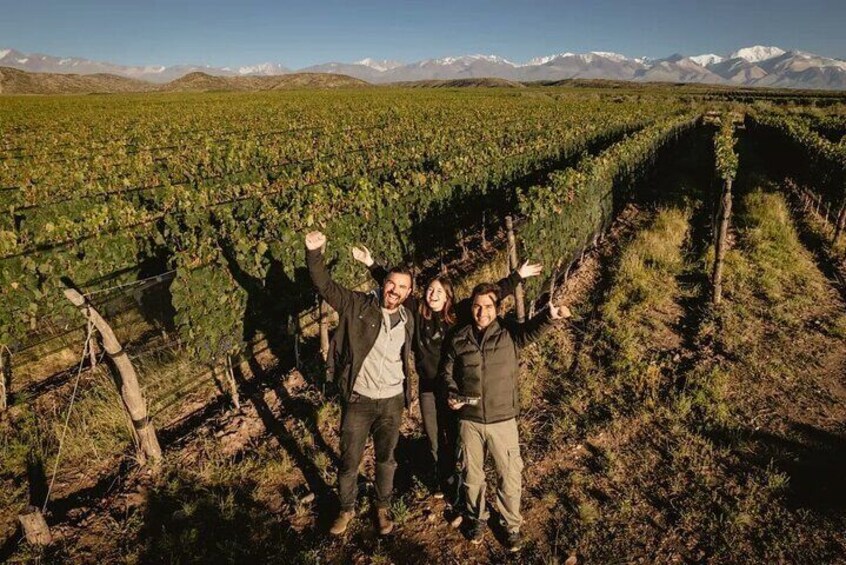 Taste Routes Wines and Oils of Mendoza 