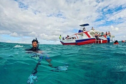 シュノーケリングと自然のプールを備えたカタマランパーティーボート半日旅行