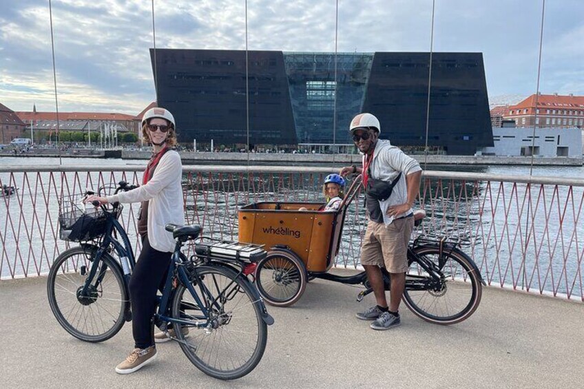 3 hour Copenhagen Combined Food and Guided E-Bike Tour