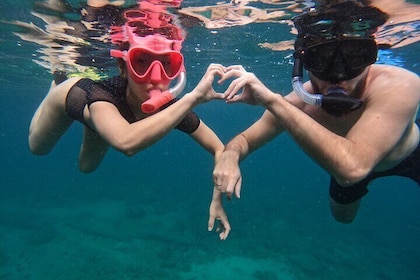 Snorkelling Adventure in Musandam with lunch