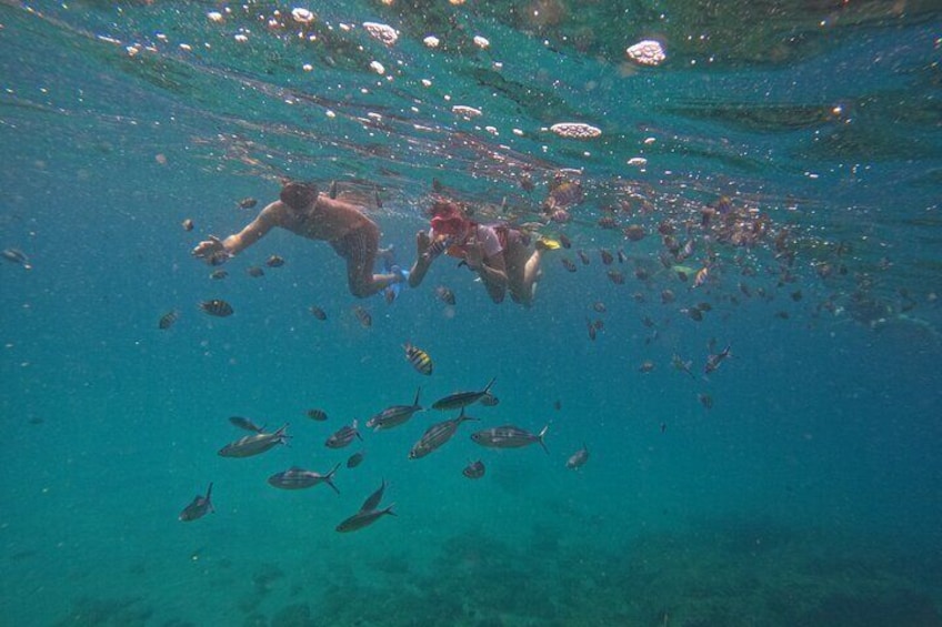 Discover Musandam Oman with Snorkeling trip with guide