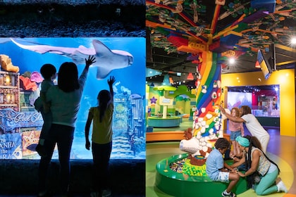 Billet combiné LEGOLAND Discovery Center et SEA LIFE