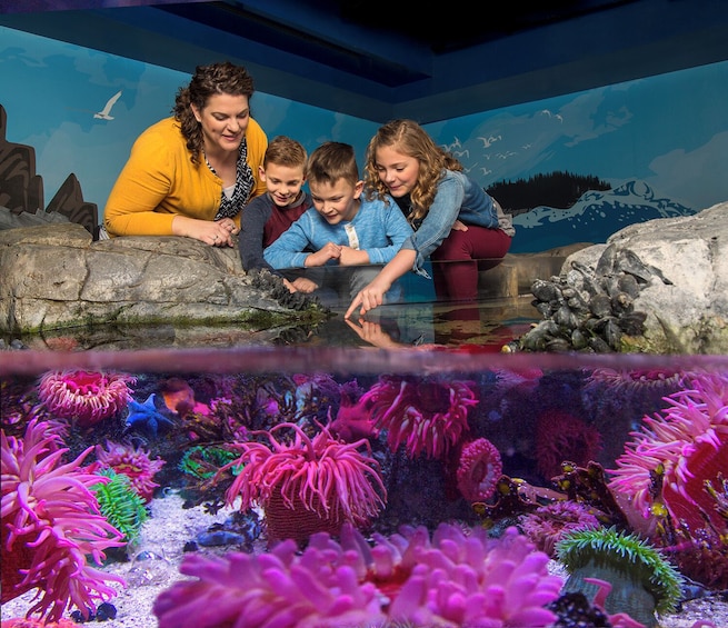 LEGOLAND Discovery Center & SEA LIFE Combo Ticket