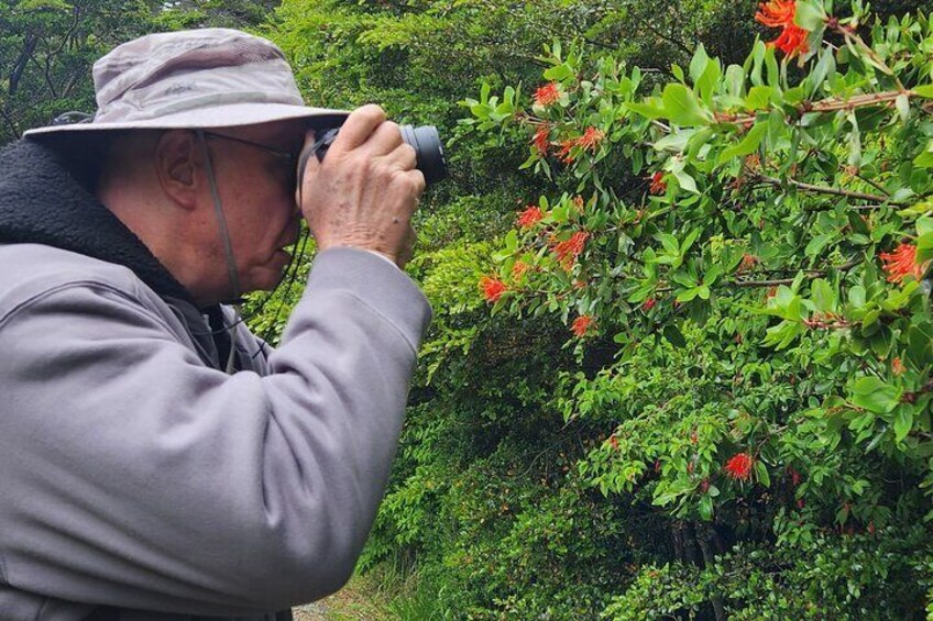 Flora endemic to Patagonia a lot to see!