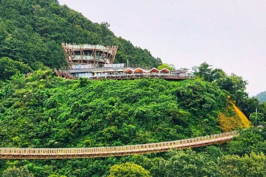 Spring Festival_Pocheon Y shaped suspension Bridge