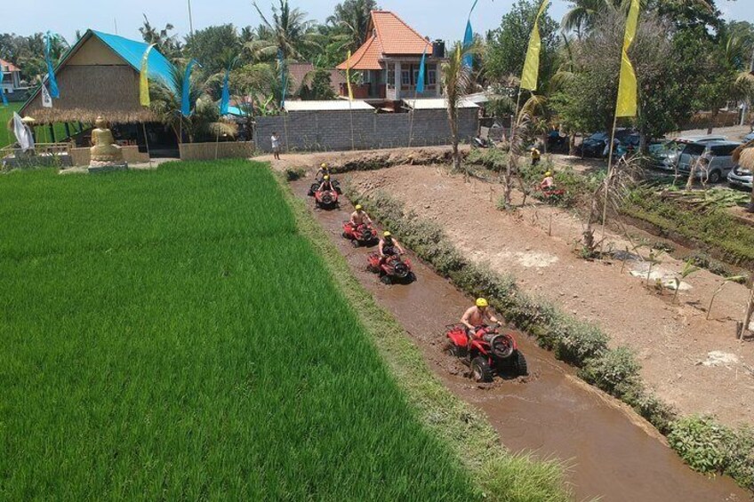 ATV ( Quad Bike )