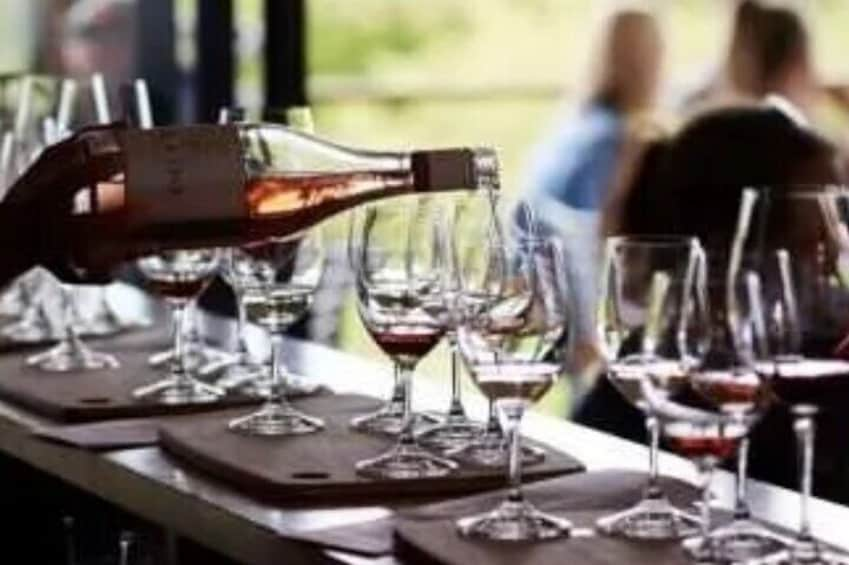 Private Wine Tour in Hunter Valley Pokolbin 