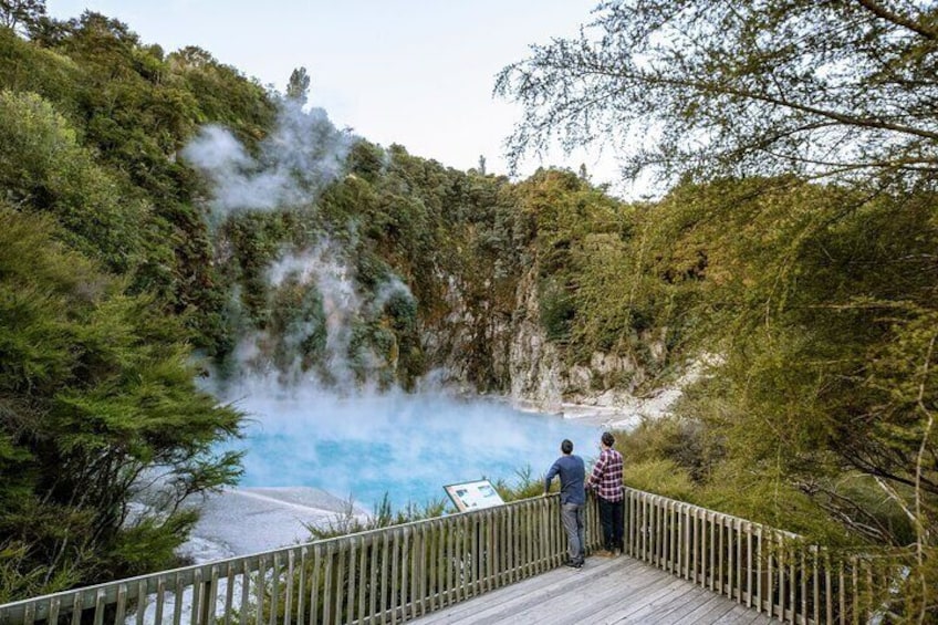 From Rotorua Waimangu Volcanic Valley Half Day Tour