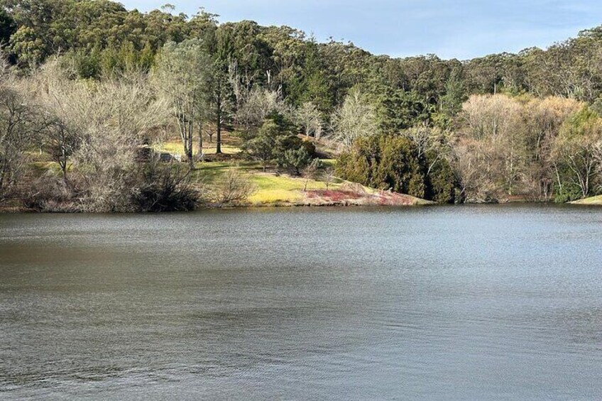 Adelaide Cruise Ship Tours to Hahndorf Hills Wildlife Wonders