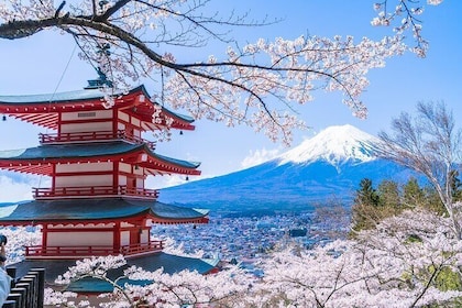 Mount Fuji Day Trip from Tokyo with Scenic Views