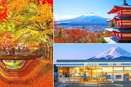 Mount Fuji Day Trip from Tokyo with Scenic Views