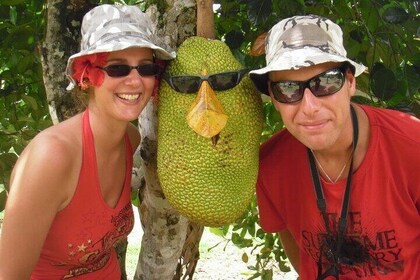 Langkawi Mangrove Boat tour With Mardi Agrotechnology Fruit Park