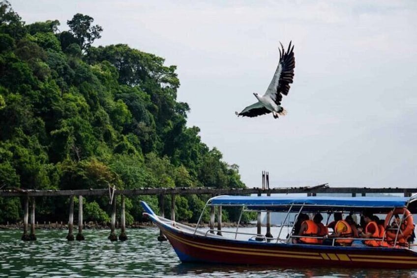 Langkawi Mangrove Boat tour With Mardi Agrotechnology Fruit Park