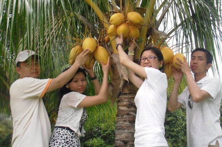 Langkawi Mangrove Boat tour With Mardi Agrotechnology Fruit Park