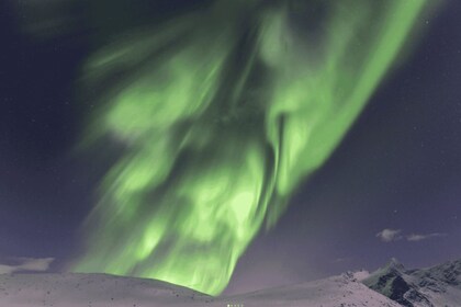 Tromso: The Ultimate Northern Lights Chase