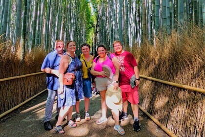 Tour privado de 2 horas por Arashiyama
