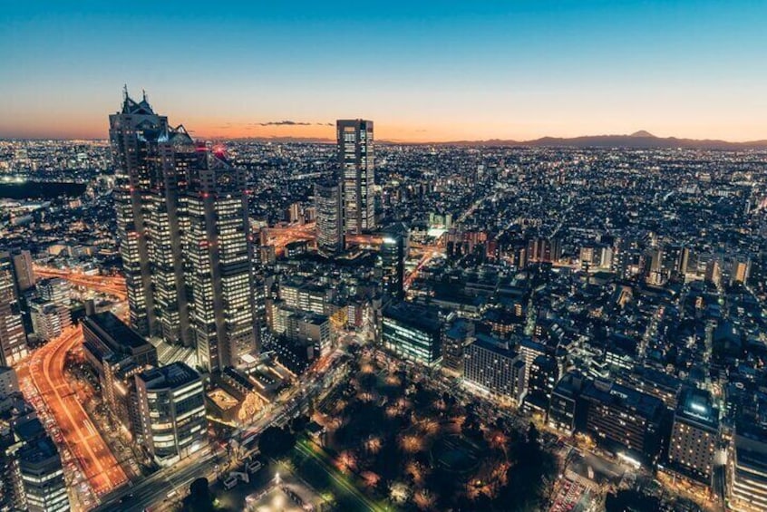 View from Tokoyo Metropolitan Government Tower 