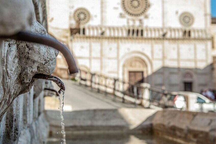 Assisi Walking Tour by Local Guide with St. Francis Basilica