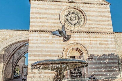 Assisi Walking Tour by Local Guide with St. Francis Basilica