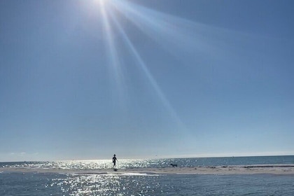 Anna Maria Island Private Sandbar Island Excursion