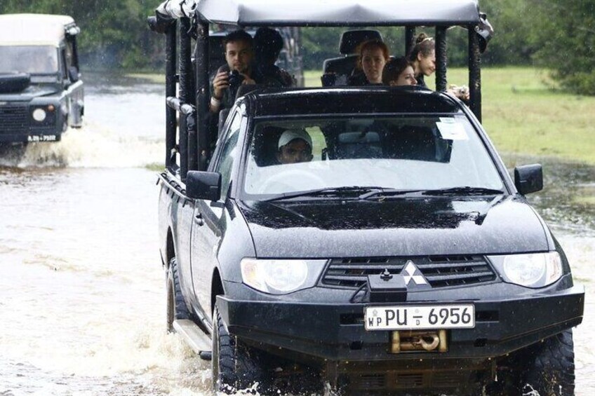 Wilpattu National Park Safari from Trincomalee