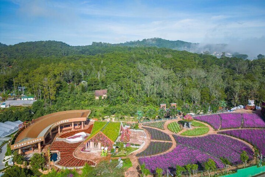 Da Lat Adventure: Full-Day Tour of Must-See Attractions in 2024